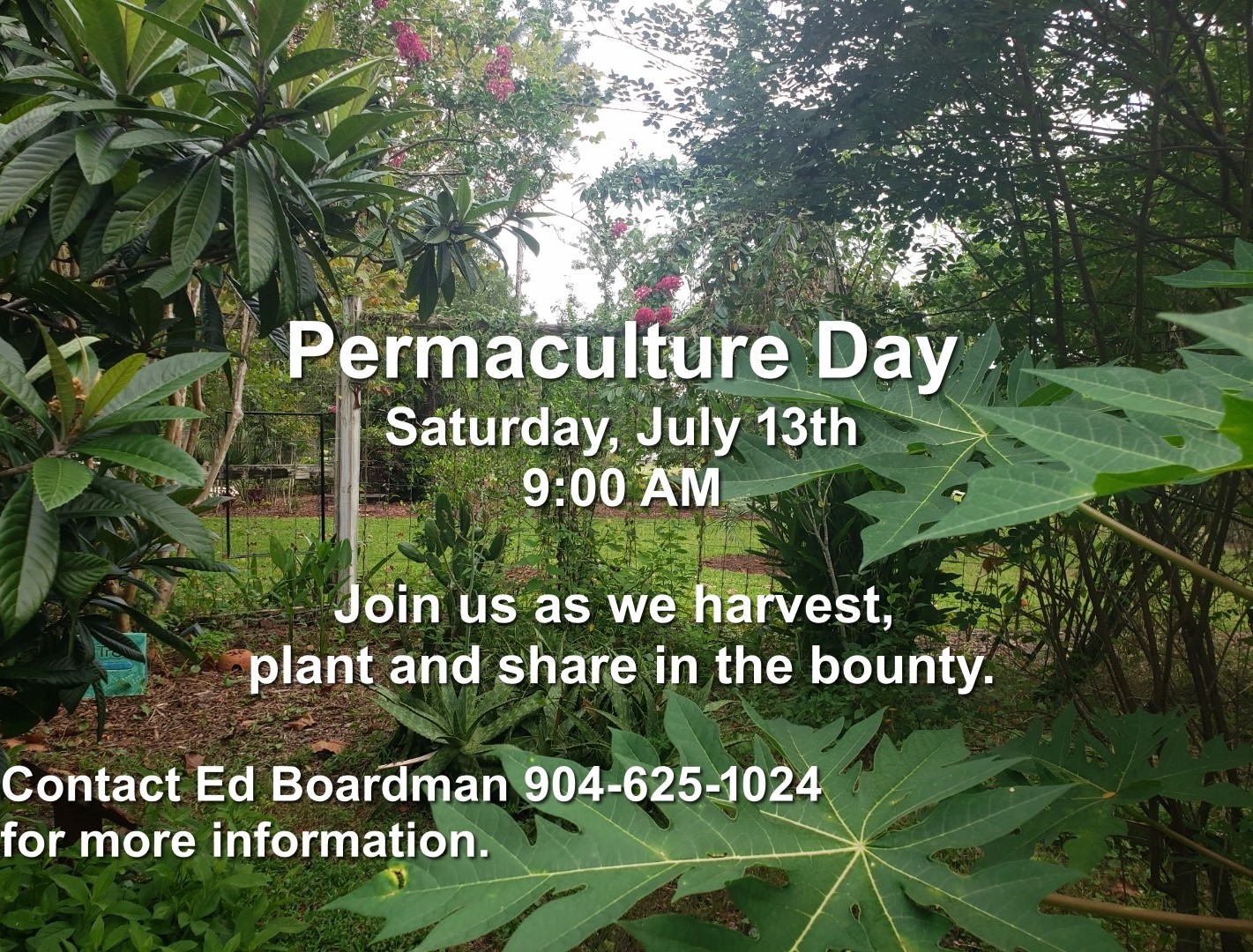 Permaculture Day 07132024